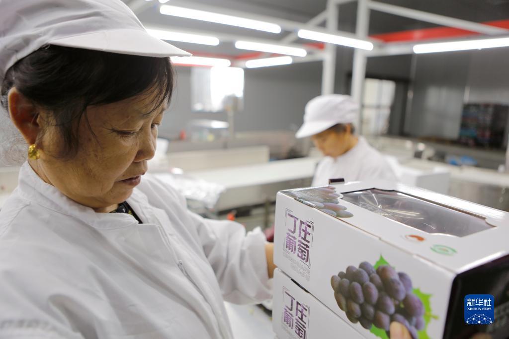 新百老汇轮盘